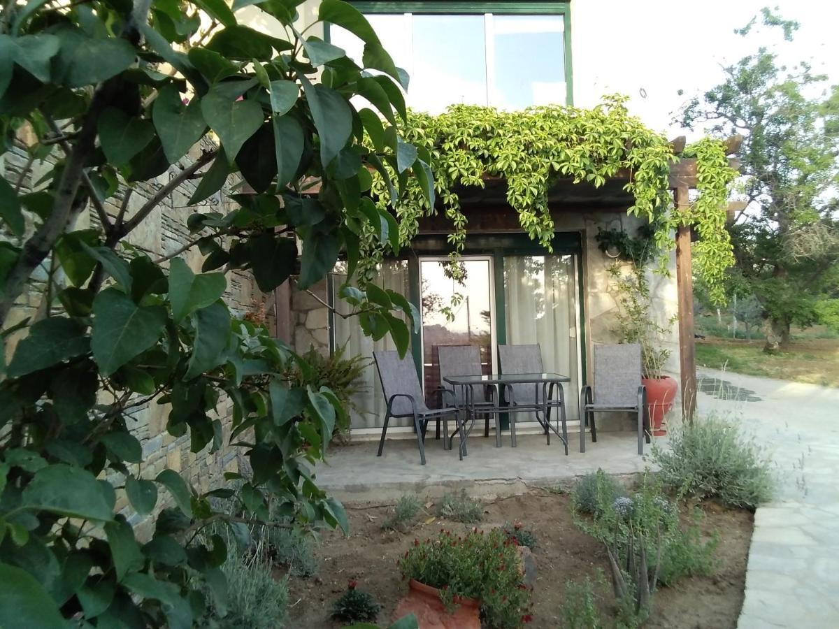Αμυγδαλιές 33 Μύρινα Villa ภายนอก รูปภาพ