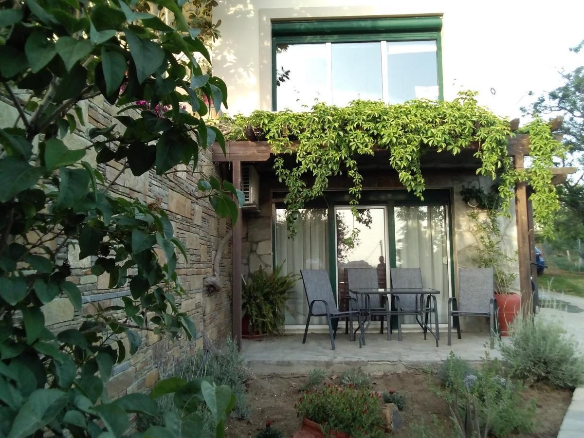 Αμυγδαλιές 33 Μύρινα Villa ภายนอก รูปภาพ