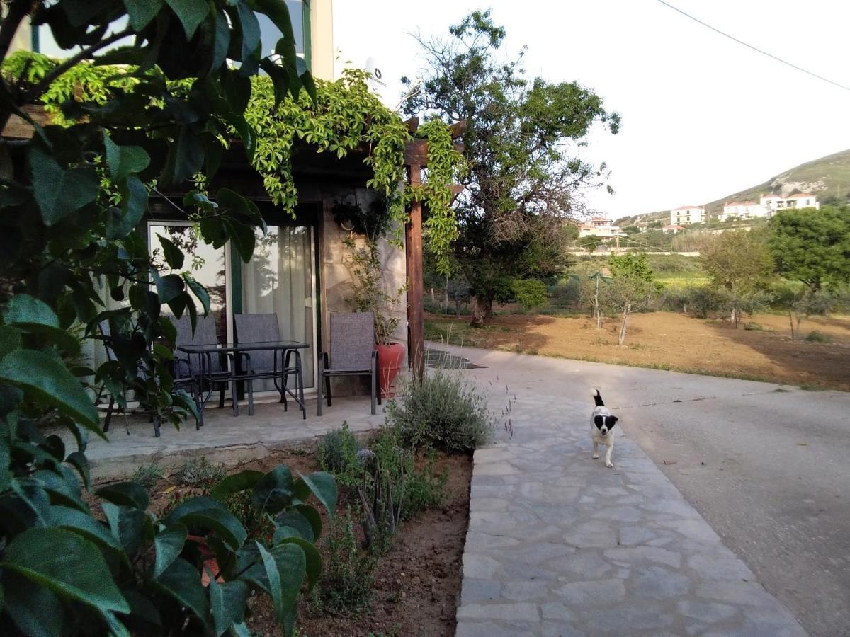 Αμυγδαλιές 33 Μύρινα Villa ภายนอก รูปภาพ